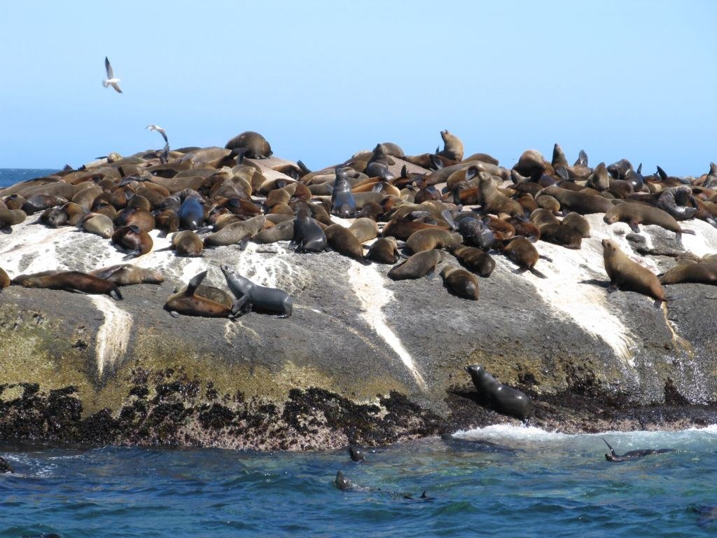 1503384088943974.jpg 0ec45a43c89749c8bde865067fd6e8cc_C_1600_1200_Mtg_7.jpg